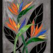 Bird of Paradise 