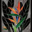 Bird of Paradise