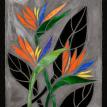Bird of Paradise