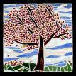 Autumn Tree